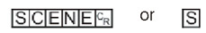 Command format - SCENE or S